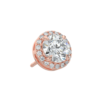 Round Halo LGD Solitaire Studs-Rose Gold